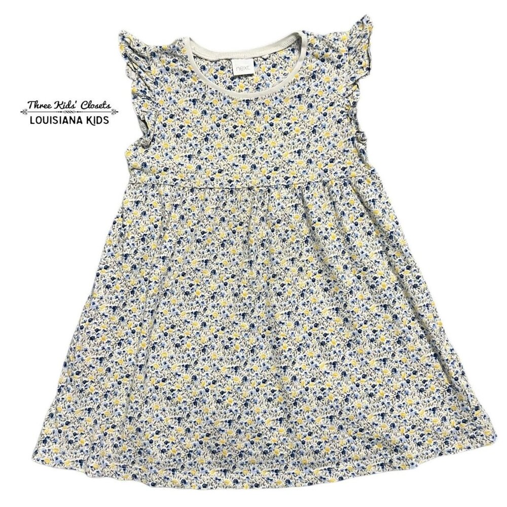 Next 3-4Y Blue & Yellow Floral Print Dress